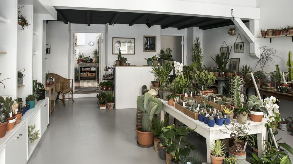 L’œil Végétal a reçu à Jardins, jardin le titre de Green Boutique 2019. Un concours annuel dont l’objectif est de « promouvoir les initiatives commerciales audacieuses, sensibles et durables qui contribuent à (re) connecter les habitants des villes au monde du végétal ». L’œil Végétal a reçu à Jardins, jardin le titre de Green Boutique 2019. Un concours annuel dont l’objectif est de « promouvoir les initiatives commerciales audacieuses, sensibles et durables qui contribuent à (re) connecter les habitants des villes au monde du végétal ».